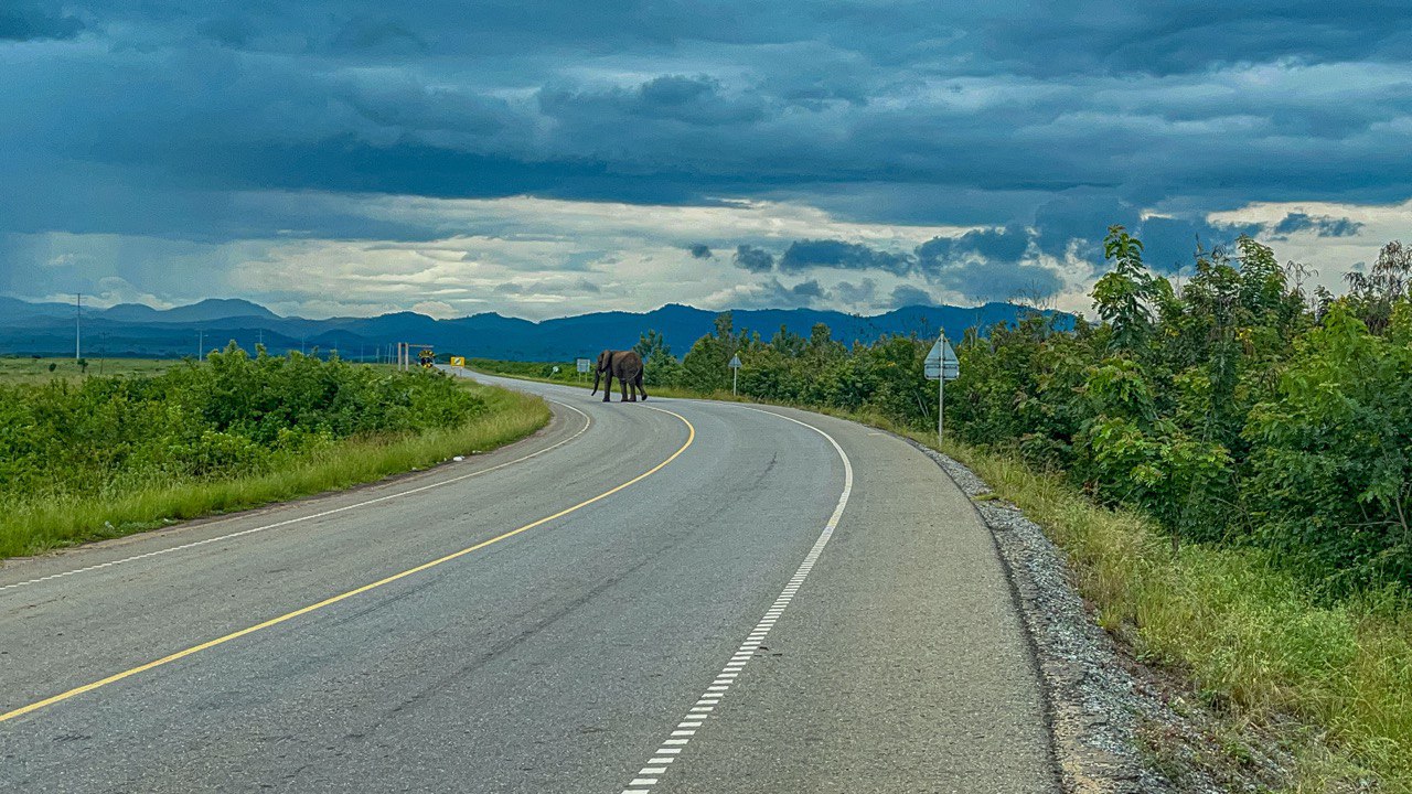 How to Get to Lake Bunyonyi After Gorilla Trekking