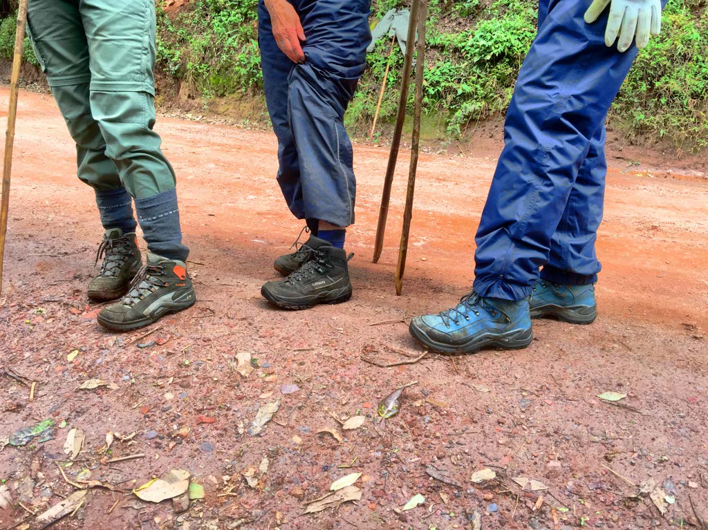 What to Pack for Gorilla Trekking in Uganda