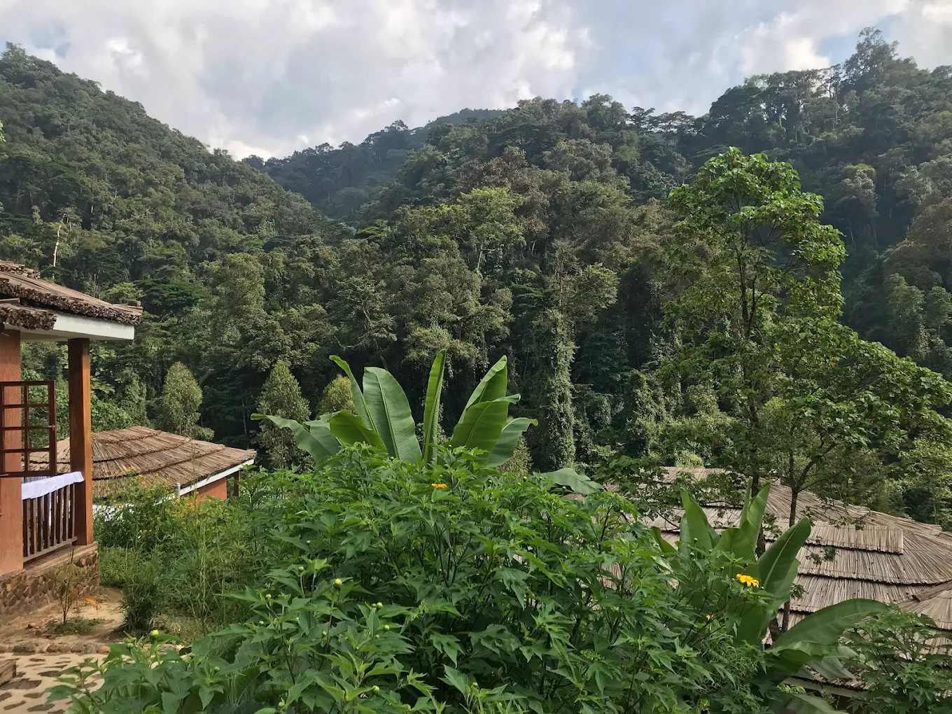 Four Gorillas Lodge