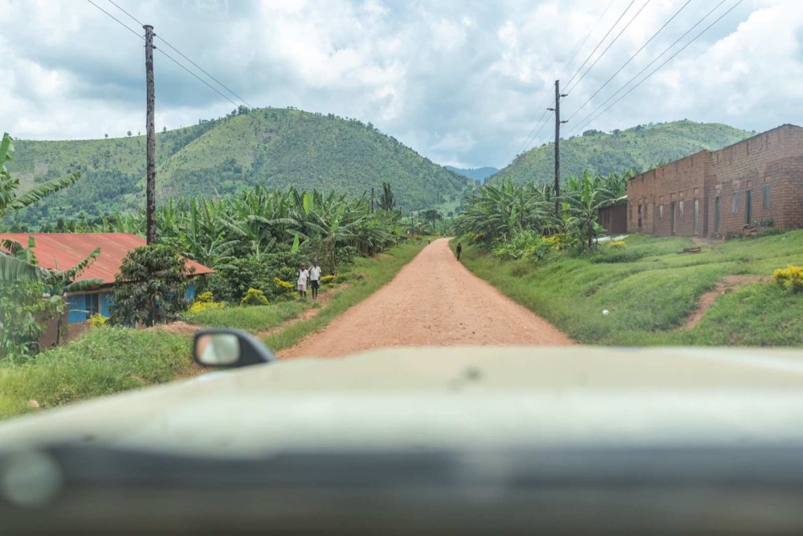 How to Get to Uganda for Gorilla Trekking 