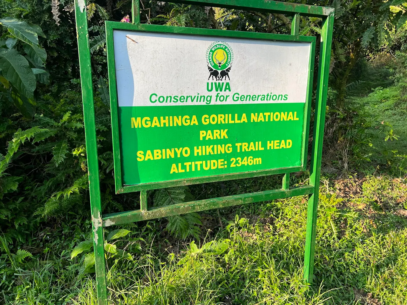 3 Days Gorilla Trekking in Mgahinga Gorilla National Park