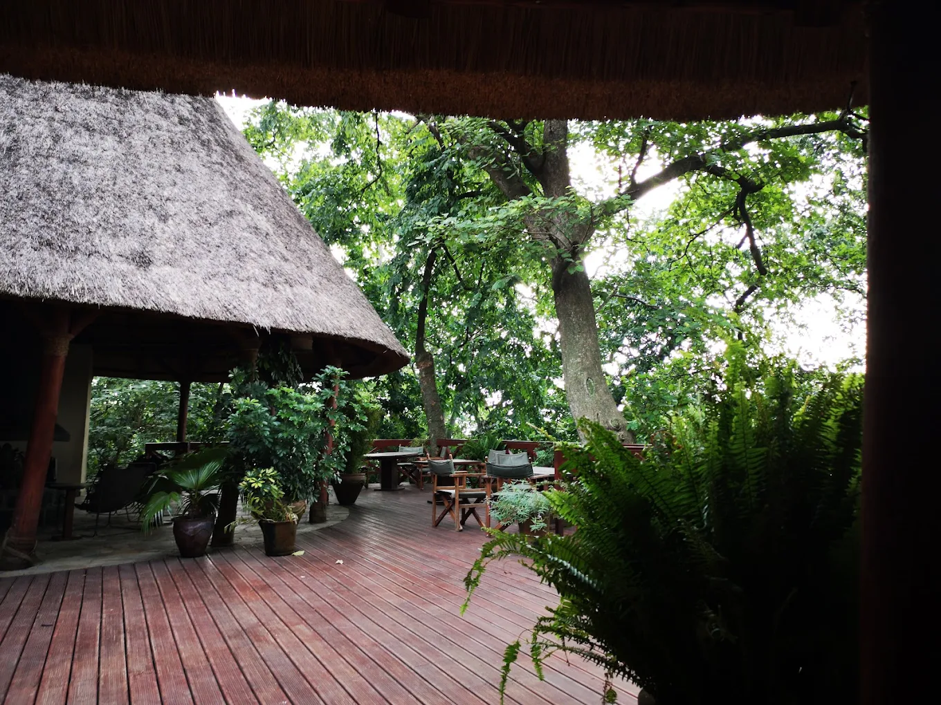 Mikeno Lodge