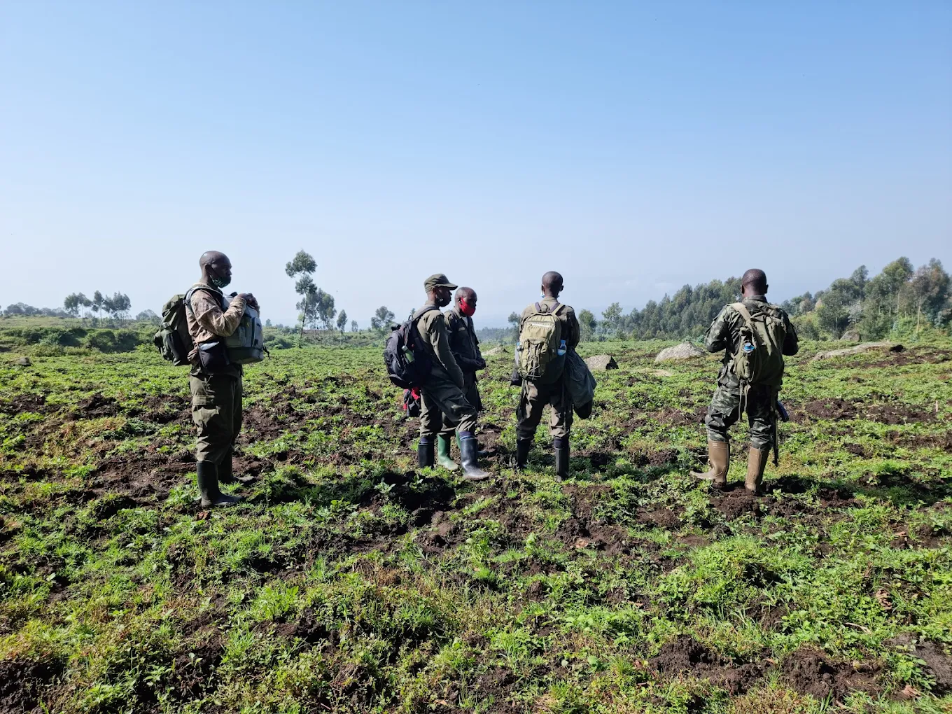 How Altitude Affects Weather, Temperature, and Visibility
