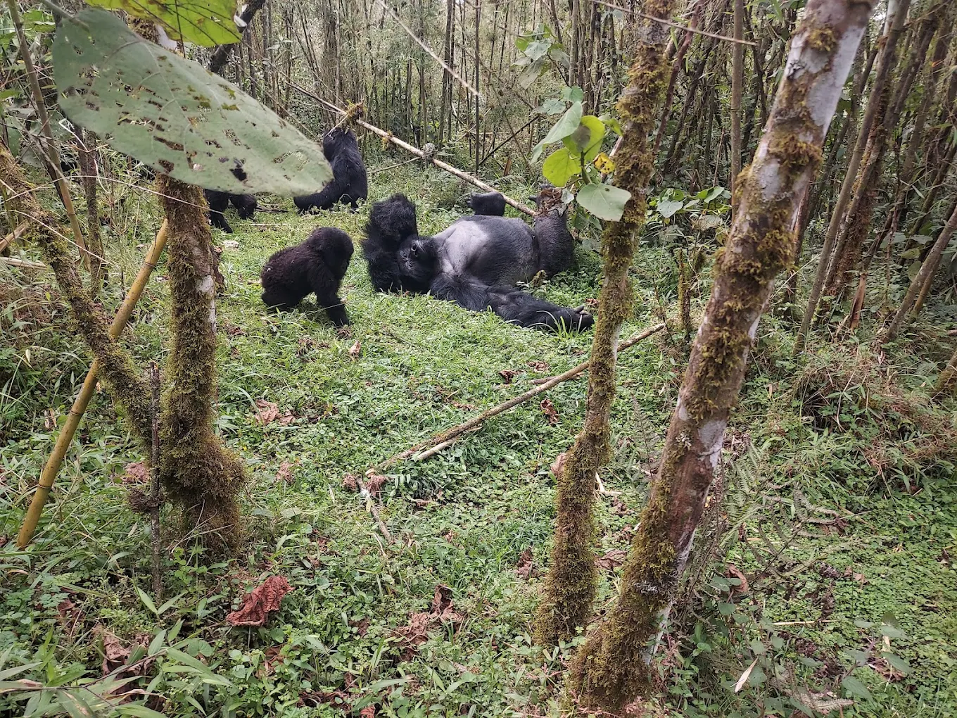 Terrain and Trekking Difficulty: Which Country Is Easier for Seniors?
