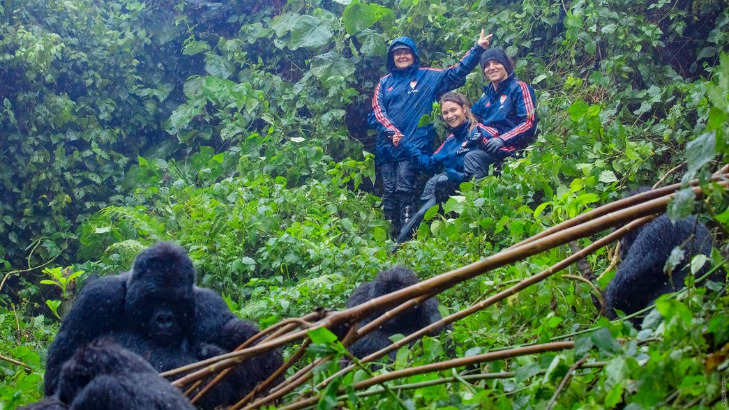 Expert Tips for First-Time Gorilla Trekkers
