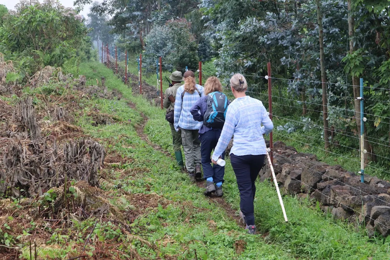 Safety Tips for Gorilla Trekking in Uganda, Rwanda, and DR Congo