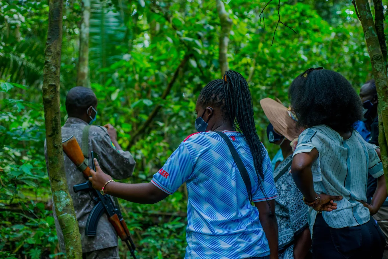 Best Time to Visit Kibale National Park