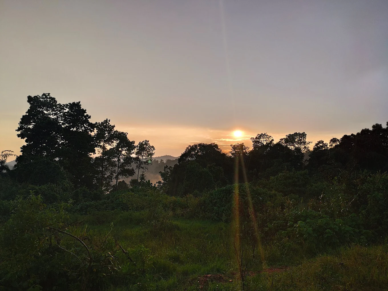 How to Get to Kibale National Park