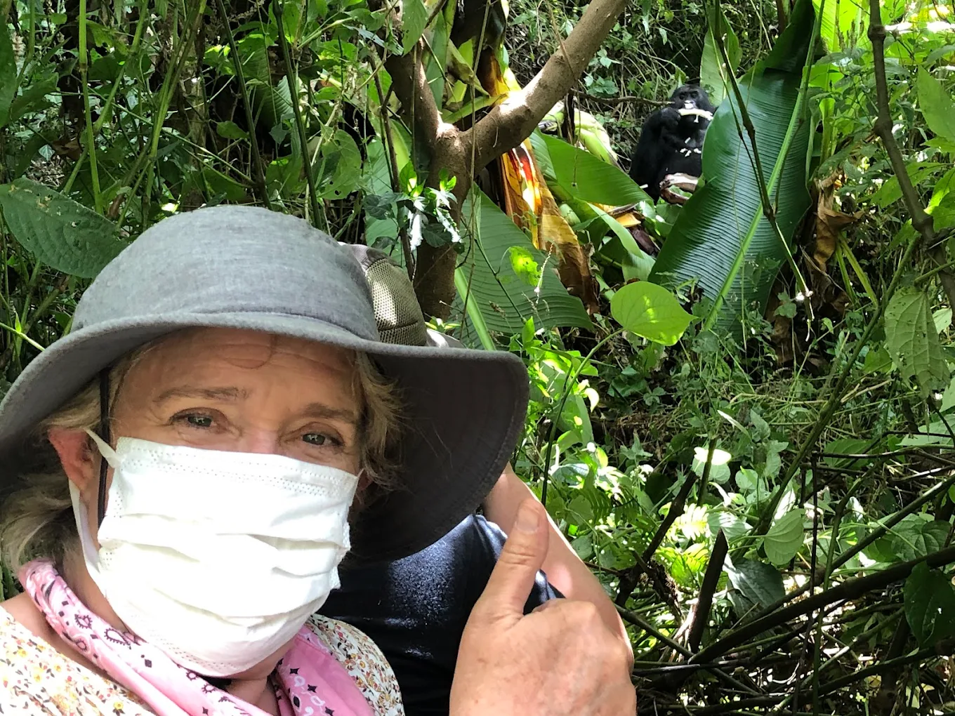 Gorilla Trekking Experience