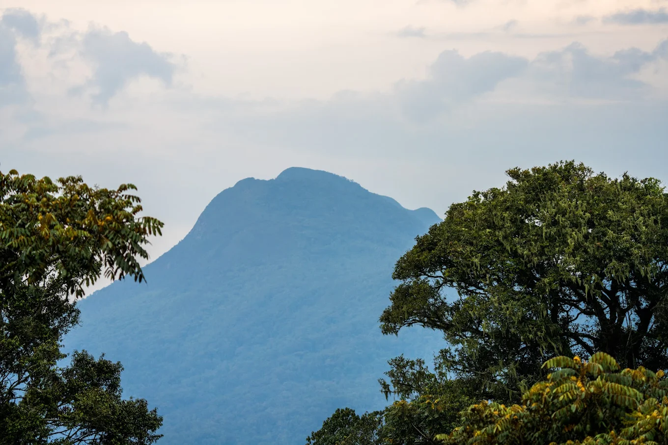 What Makes Kahuzi-Biega National Park Unique?