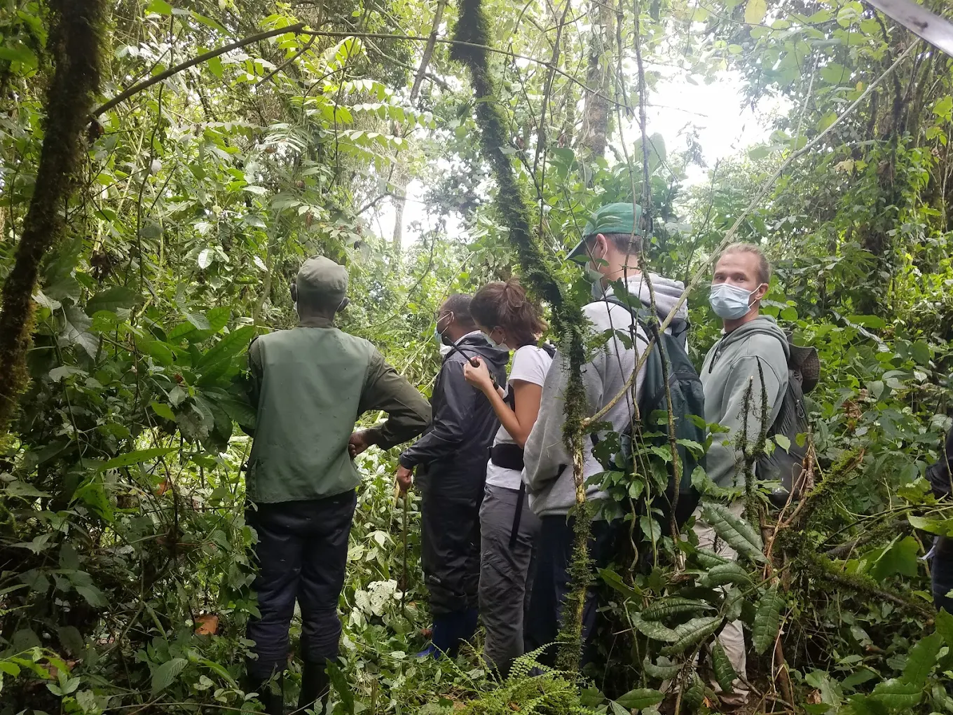 Is Gorilla Trekking Safe in Rwanda?