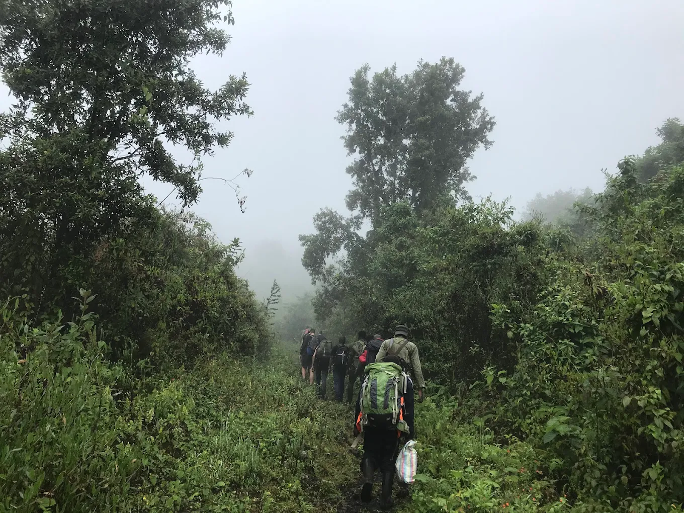 Here’s the Inclusions & Exclusions section for the 2 Days Mountain Gorilla Trek in Virunga National Park
