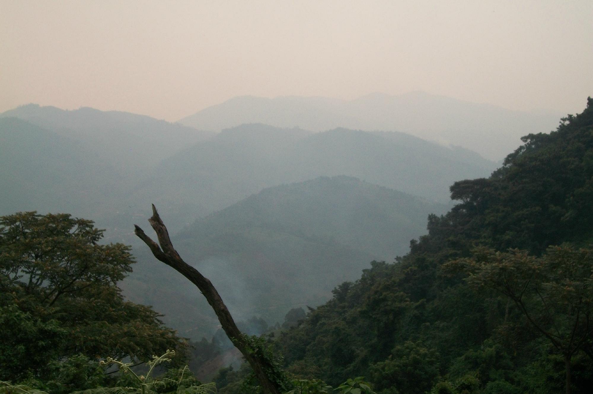 Gorilla Trekking for the Disabled, Seniors & Elders Itineraries