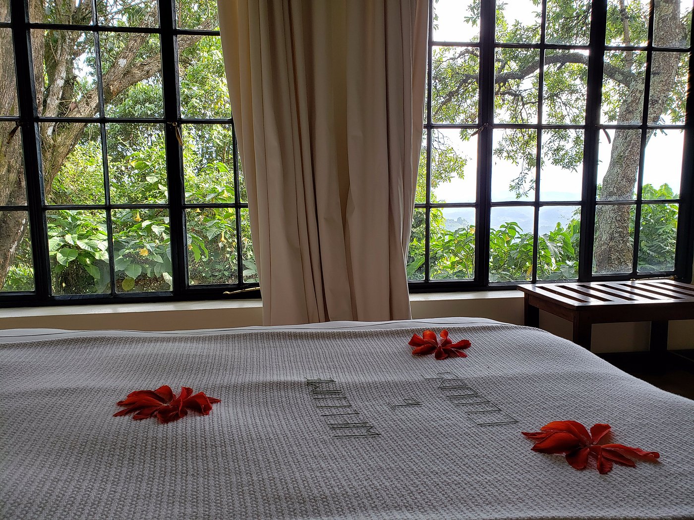 View from Clouds Mountain Gorilla Lodge – Luxury Gorilla Trekking Lodges in Uganda