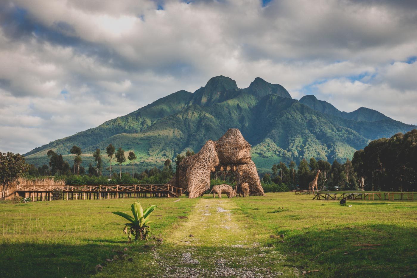 Volcanoes National Park Rwanda