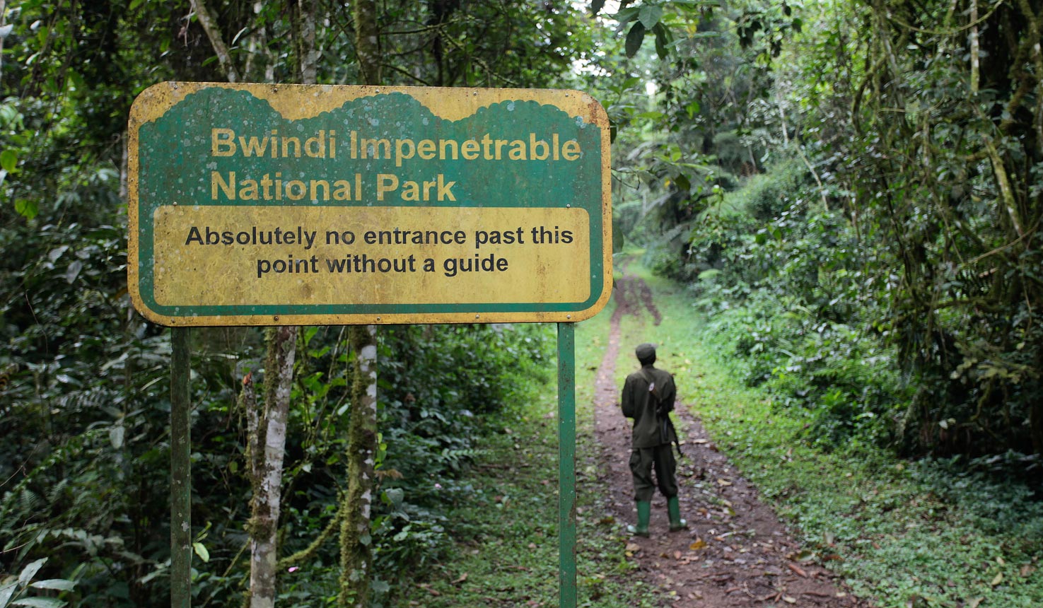 Bwindi Gorilla Trekking