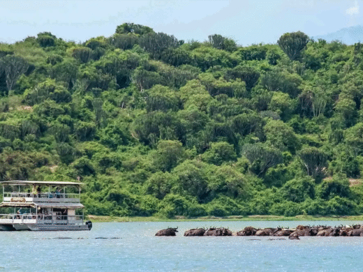 Boat in queen Boat in queen