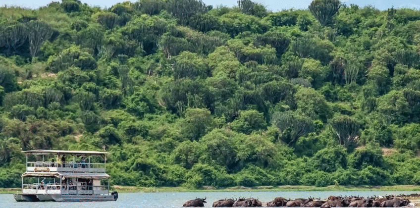 Boat in queen Boat in queen