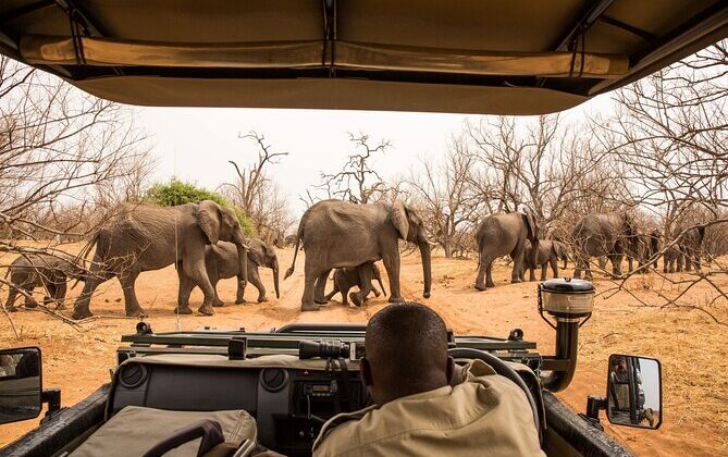 10 Days Luxury Uganda Safari