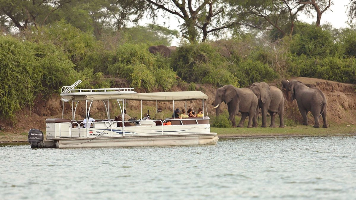 One of the most unique and exclusive highlights of Luxury Akagera Safaris is the boat safari experience on Lake Ihema, the largest lake within Akagera National Park. This water-based safari offers a completely different perspective of wildlife viewing, combining relaxation, photography, and close-up animal encounters in a calm aquatic environment.