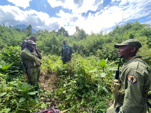Virunga National Park Guides