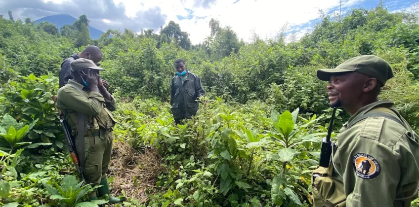 Virunga National Park Guides