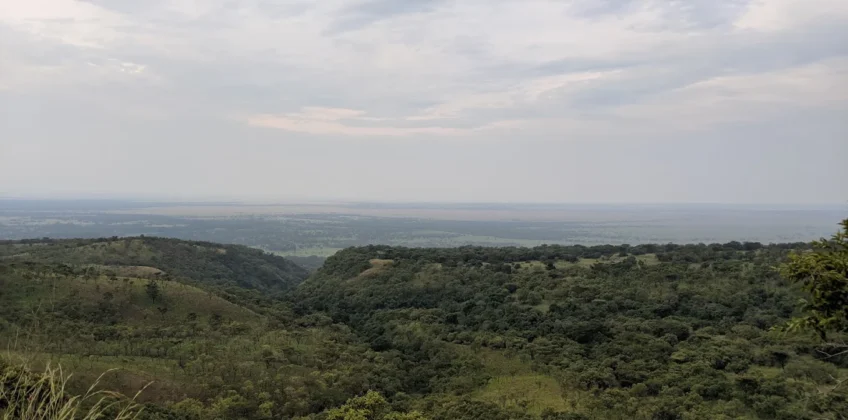 Virunga National Park congo