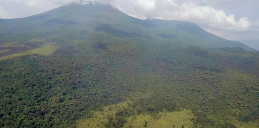 Virunga National Park jewel Gorilla