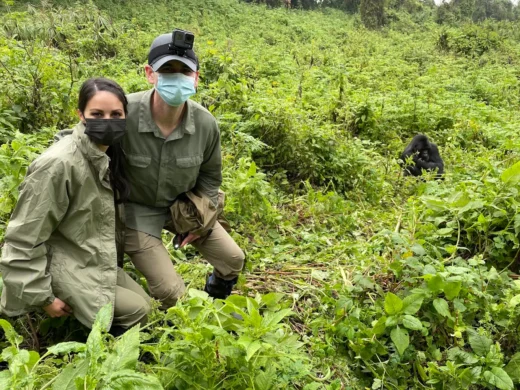 Private Luxury Gorilla Trekking Safaris in Uganda, Rwanda & Congo