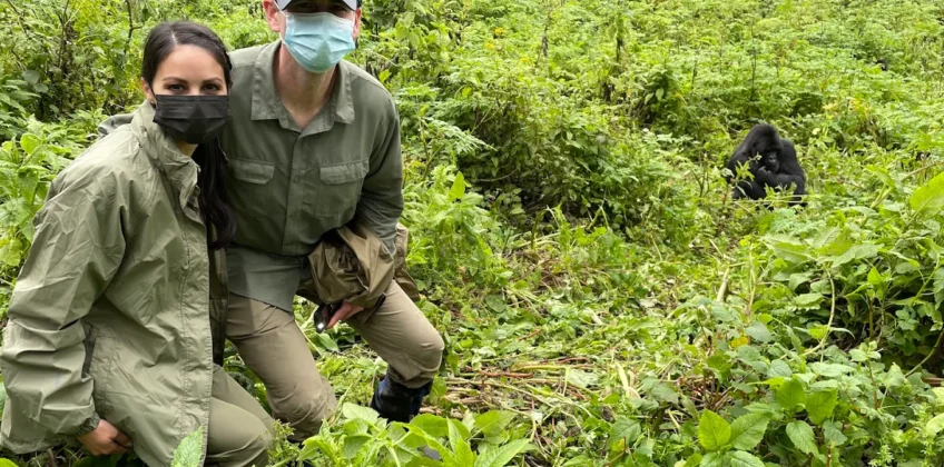 Private Luxury Gorilla Trekking Safaris in Uganda, Rwanda & Congo