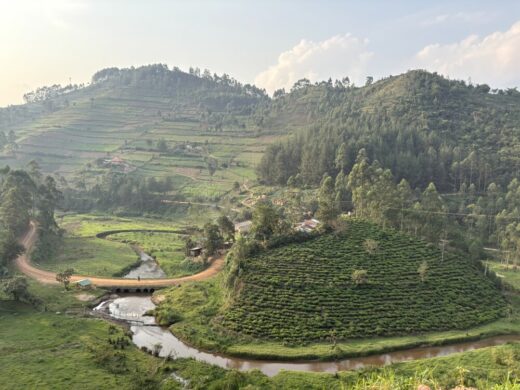 3 Days Mountain Gorilla Trekking in Rwanda