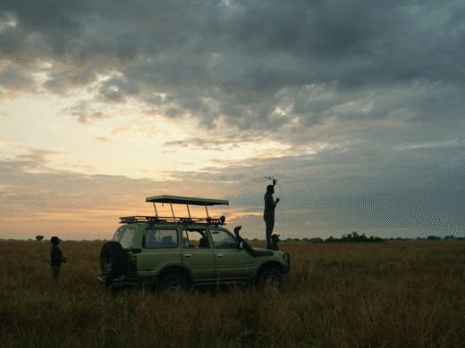 game drives newww game drives newww