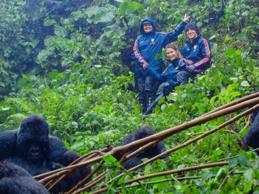 2 Days Rwanda Gorilla Safari from Kigali – Volcanoes National Park Trek