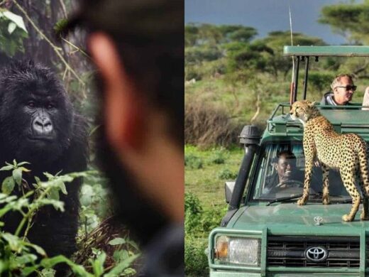 10 Days Luxury Uganda Safari