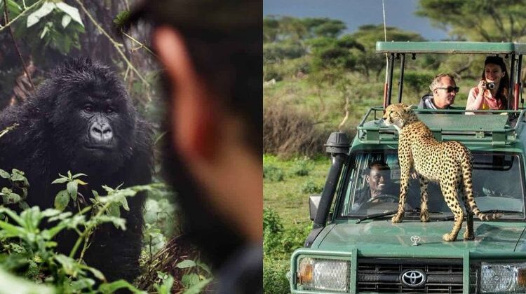 10 Days Luxury Uganda Safari