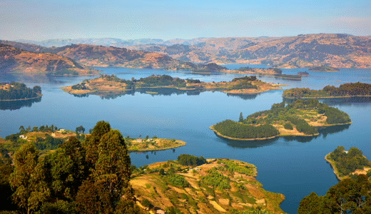 4-Day Fly-in Luxury Gorilla Trek