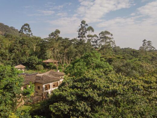 Bwindi Lodge The Jungle Gorilla Lodge in Uganda Bwindi Lodge The Jungle Gorilla Lodge in Uganda