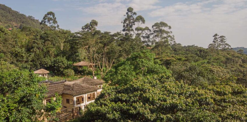 Bwindi Lodge The Jungle Gorilla Lodge in Uganda Bwindi Lodge The Jungle Gorilla Lodge in Uganda
