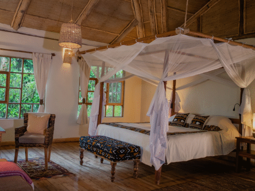 Bwindi lodge Bwindi lodge