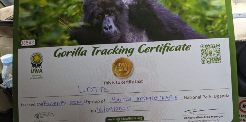 WhatsApp Image 2025-09-16 at 14.11.08 WhatsApp Image 2025-09-16 at 14.11.08