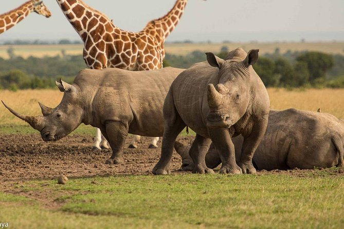 10-Day East Africa Primate Circuit