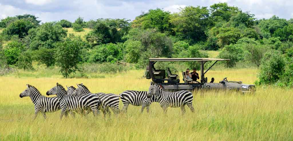 7 Days Rwanda Budget Wildlife & Gorilla Tour