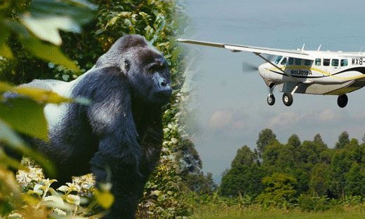 10 Days Luxury Uganda Safari
