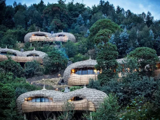 One&Only Gorilla’s Nest 2 One&Only Gorilla’s Nest 2