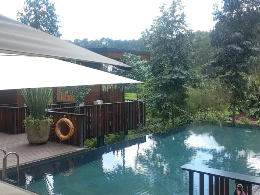 One&Only Gorilla’s Nest 5 One&Only Gorilla’s Nest 5