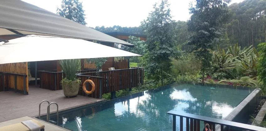 One&Only Gorilla’s Nest 5 One&Only Gorilla’s Nest 5