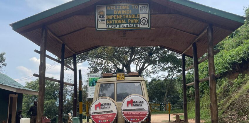 WhatsApp Image 2025-09-23 at 19.14.43 WhatsApp Image 2025-09-23 at 19.14.43