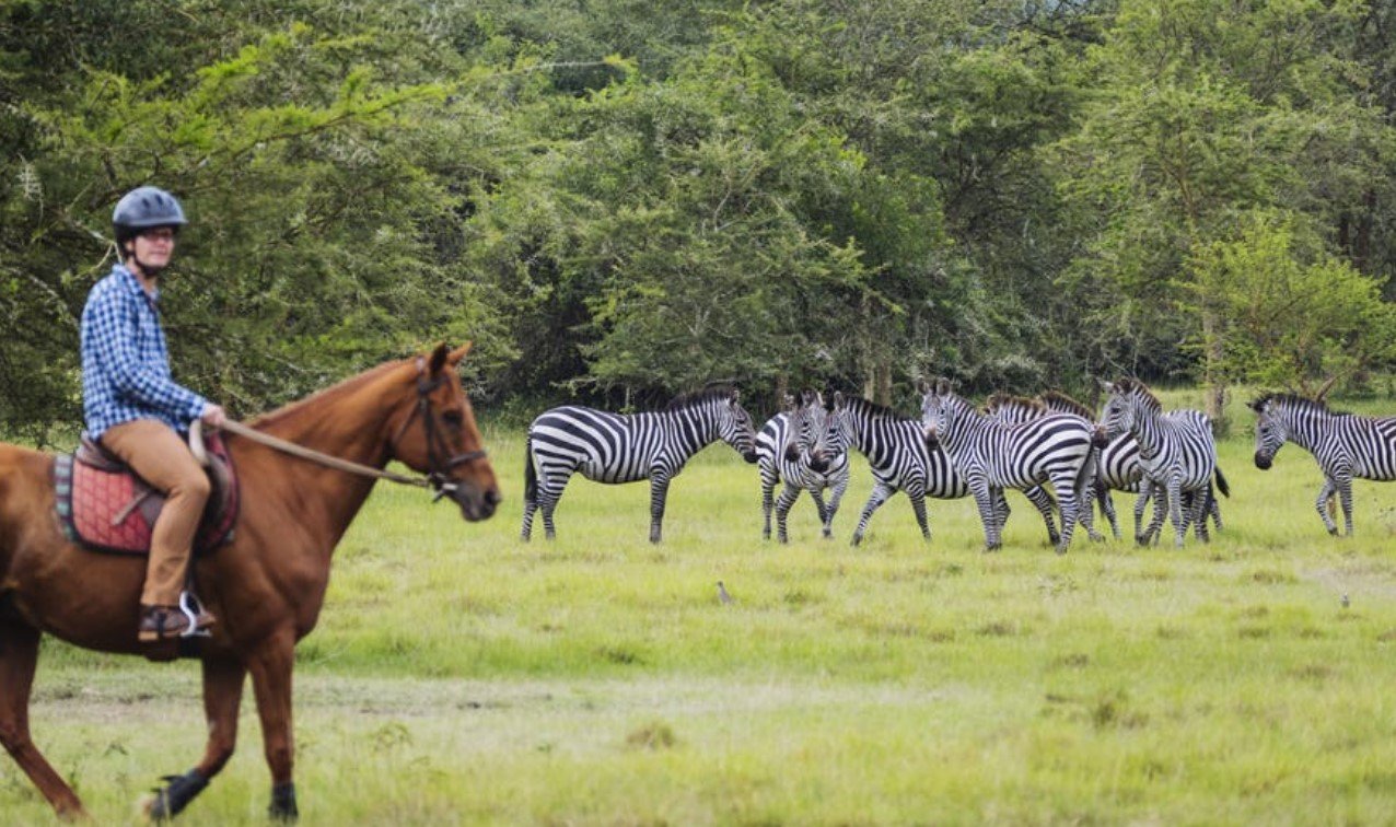 Horse Riding Safari in Lake Mburo National Park Uganda