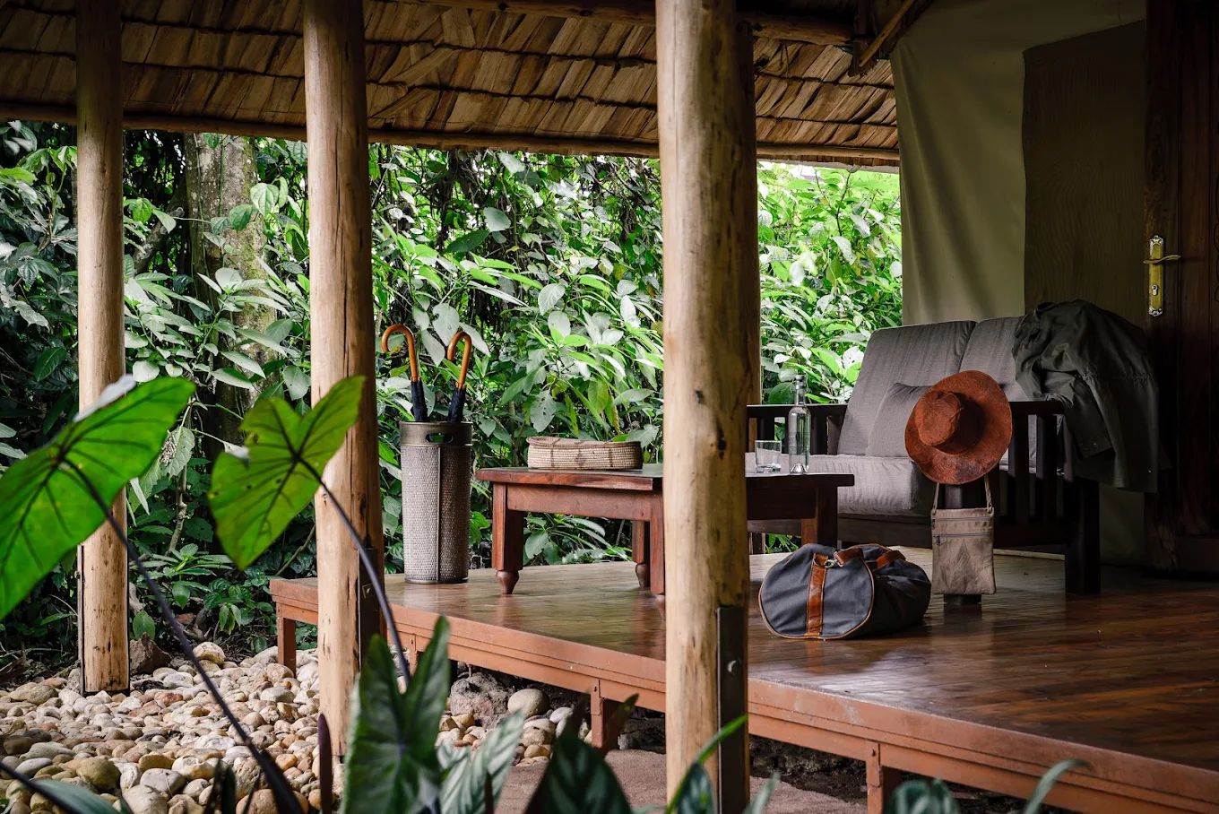 Gorilla Forest Lodge an AK Sanctuary Elevana