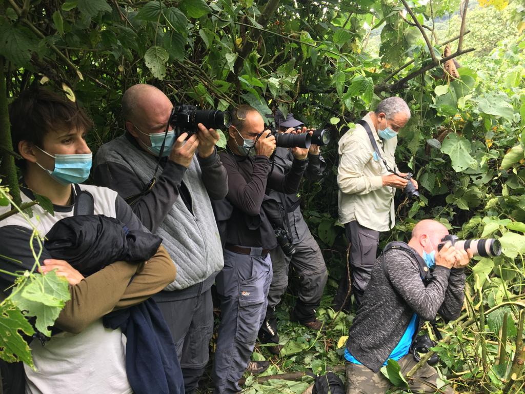 What to Pack for Gorilla Trekking (Uganda & Rwanda) – Complete 2026 Guide